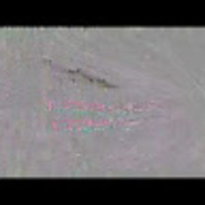 Meet your Posher, Doina